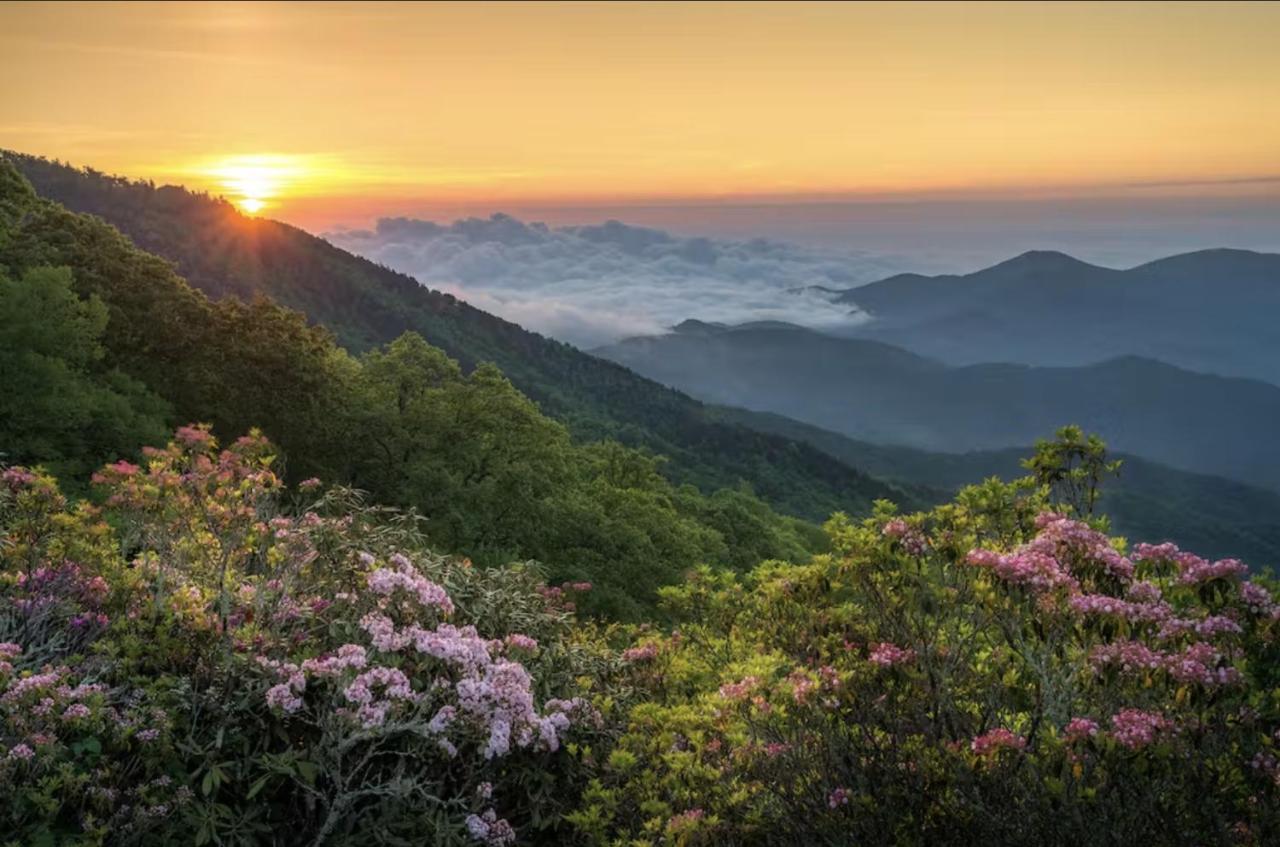 Dogwood Blossom Cottage Asheville Zewnętrze zdjęcie